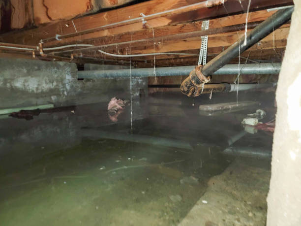 Best Water damage restoration near me  in Los Altos Hills, CA