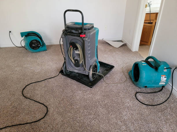 Los Altos Hills, CA Water damage restoration Company