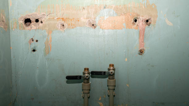 Best Local water damage restoration  in Los Altos Hills, CA