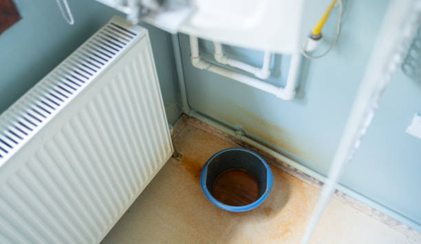 Best Mold removal after water damage  in Los Altos Hills, CA